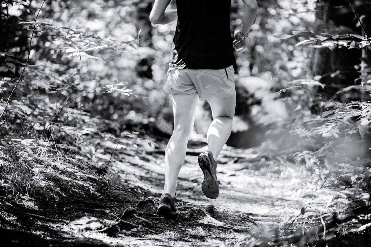 trail, running, nature, forest, woods, exercise, fitness, jogging, park, black and white